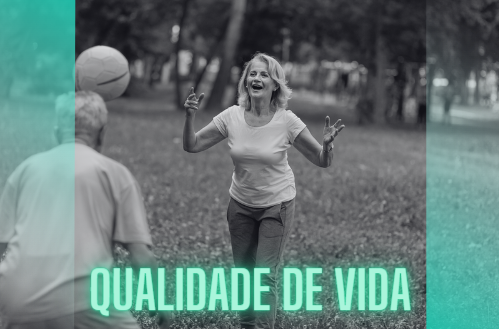 Serviços 3.1