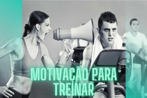 Serviços 8.1